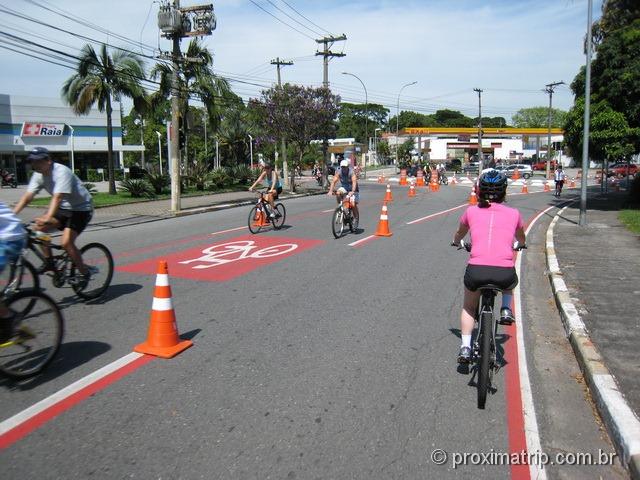 passeio de bike na ciclofaixa de São Paulo - praça panamericana
