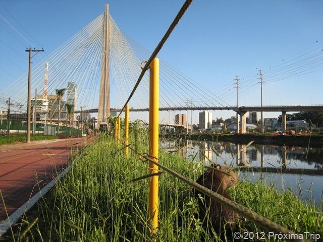 capivara na ciclovia marginal Pinheiros - próximo à ponte estaiada
