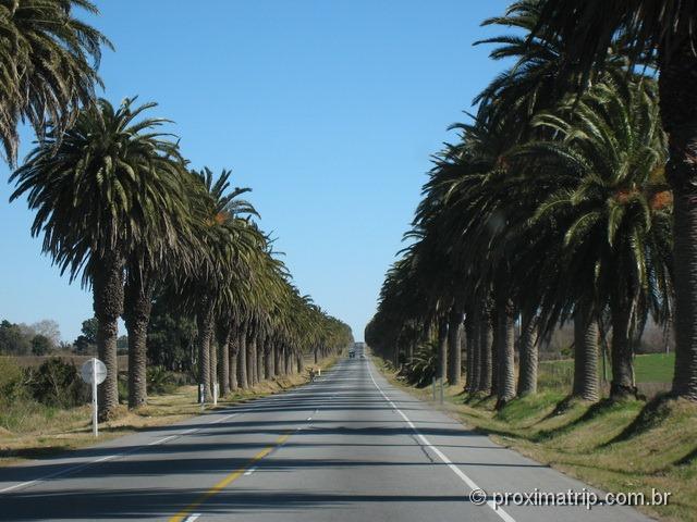 Estrada em Colônia del Sacramento - Uruguai