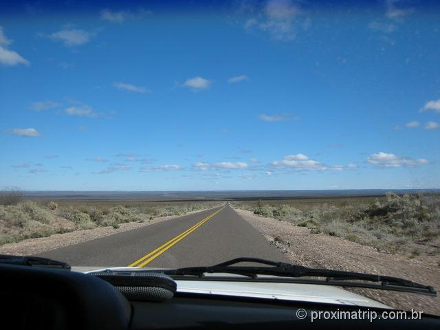 paisagem de gamíneas em estrada argentina - foto 2