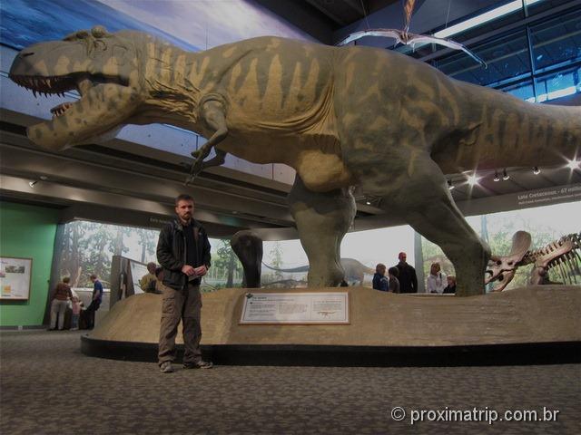 Tiranossauro Rex no museu de ciências de boston