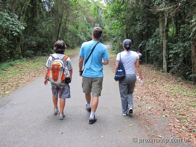 caminhada no Núcleo Pedra Grande - São Paulo