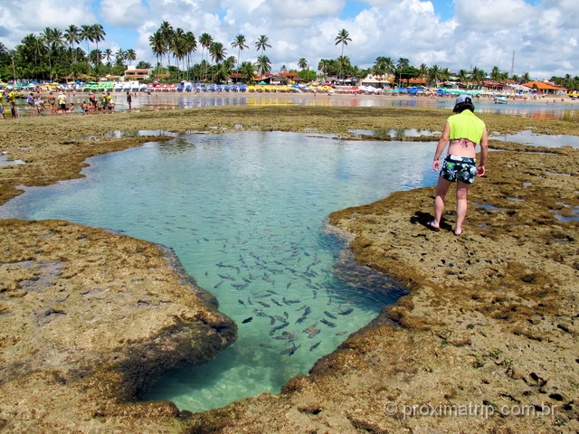 Piscina natural em Porto de Galinhas com o formato do mapa do Brasil