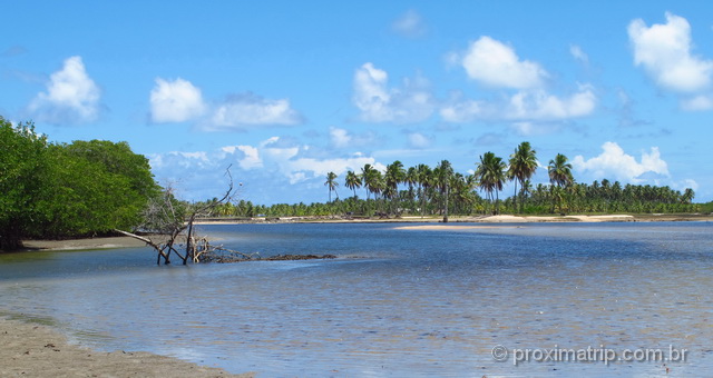 A belíssima paisagem do Pontal de Maracaípe em Porto de Galinhas