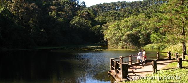 Lago das Carpas - PQ Estadual da Serra da Cantareira - São Paulo