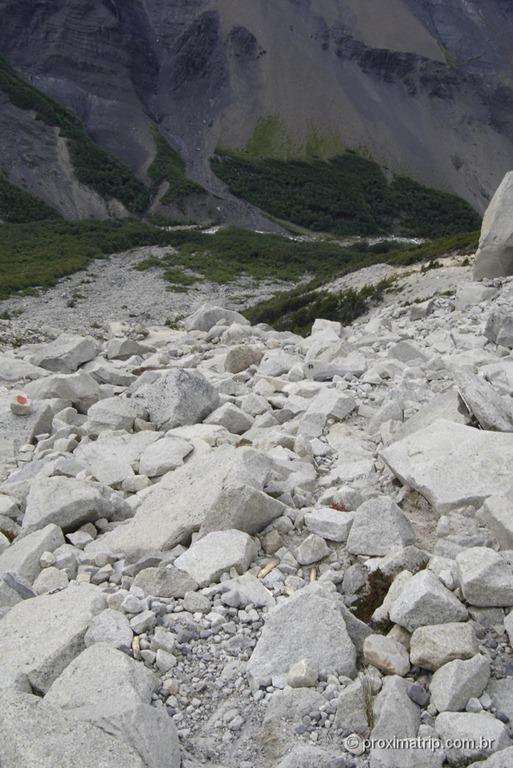 Torres del Paine - 184