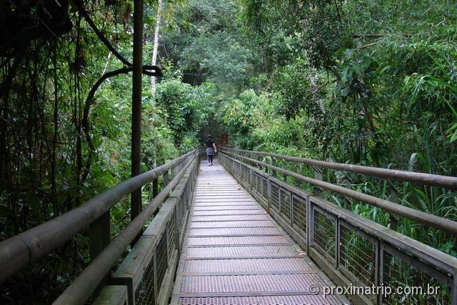 Paseo inferior (lower trail) - Parque Nacional do Iguazú - cataratas lado argentino