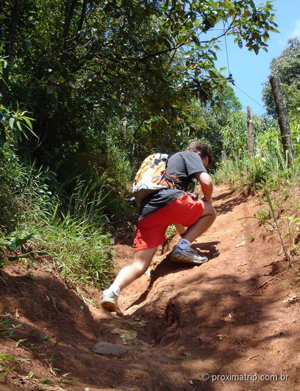 Trilha do pai zé - Parque estadual do Jaraguá