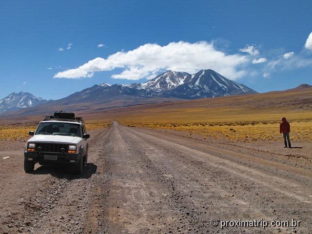 as belas pastagens amarelas de altitude - paisagem altiplanica - deserto do Atacama