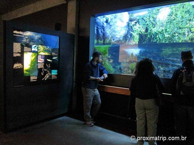 New England Aquarium - Boston - EUA
