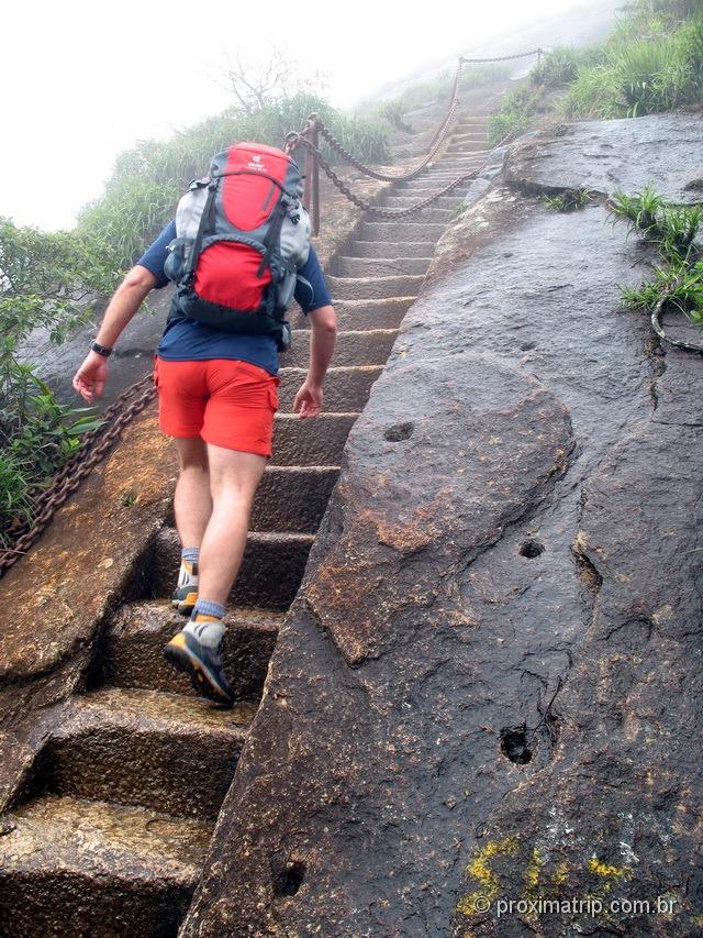 trilha do Pico da Tijuca - trecho final de escadas esculpidas na própria rocha