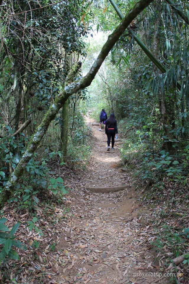 Trilha chapéu Bispo Platô mata Monte Verde