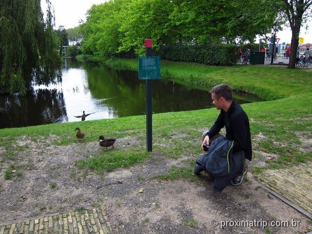 Paisagem rural em Amsterdam