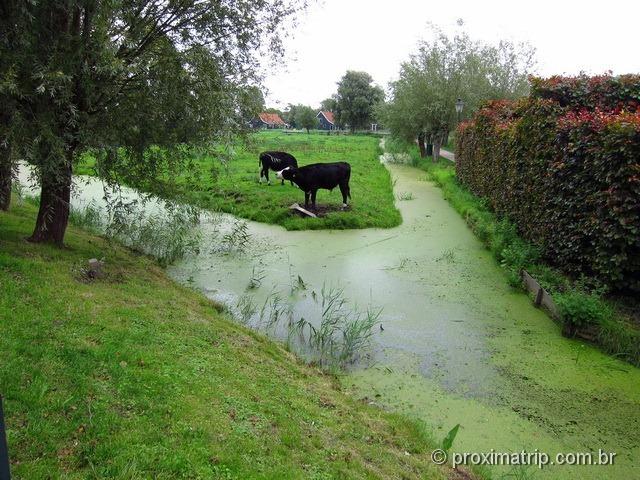 Paisagem rural em Amsterdam