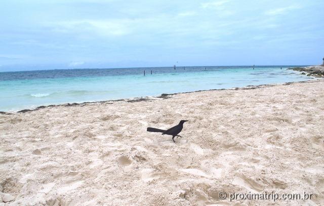 Playa Langosta - Cancun