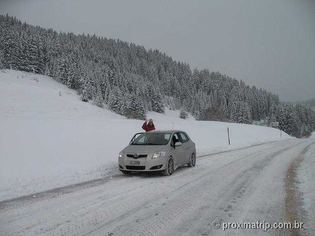Alpes Franceses - Pinheiros cobertos de neve em La Clusaz