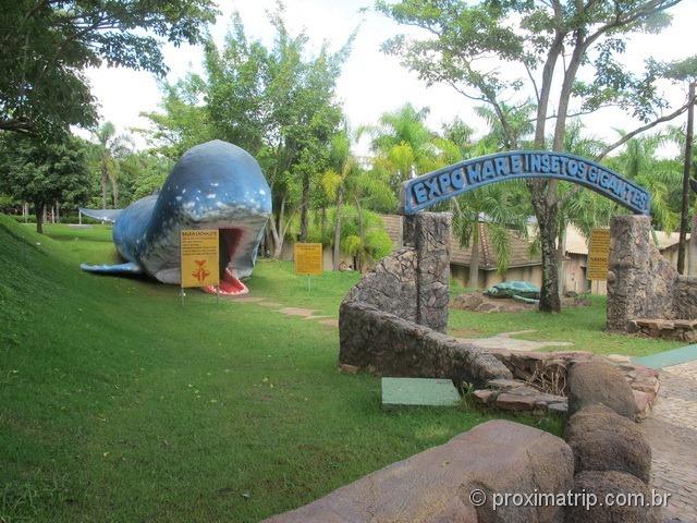 Réplica de baleia cachalote no parque aquático Thermas Water Park - Águas de São Pedro