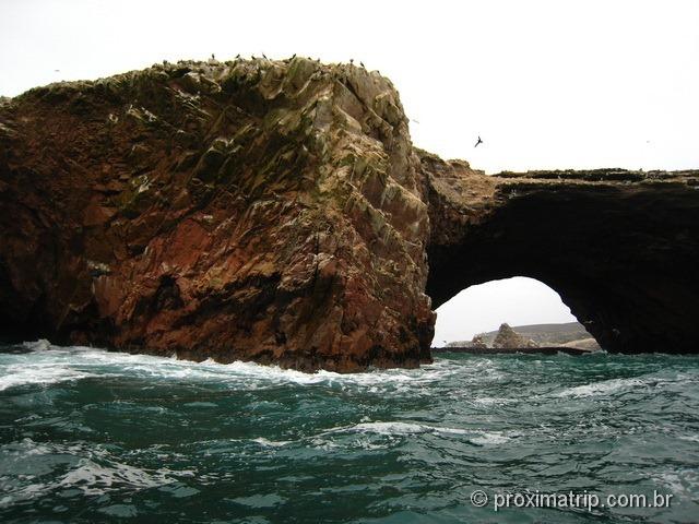 Tour de barco às Islas Ballestas