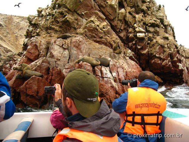 Tour de barco às Islas Ballestas