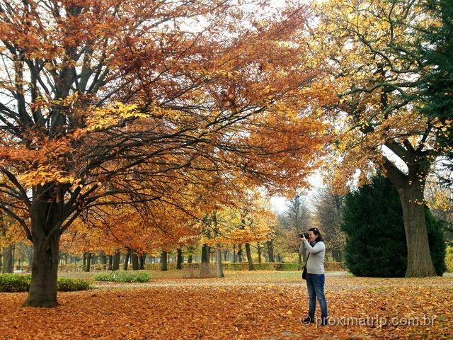 fotos das folhagens de outono nos jardins do Schönbrunn