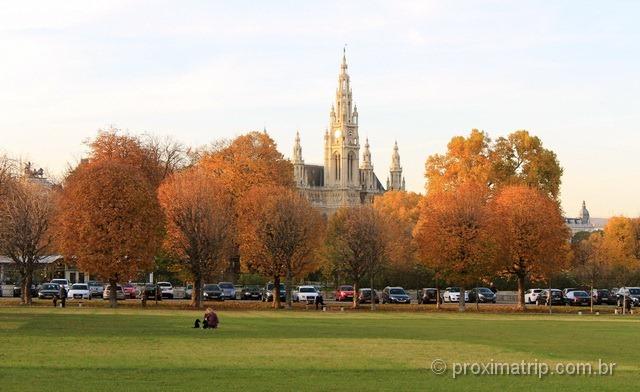 vegetação com as típicas cores de outono, perto da Rathaus (prefeitura) de Viena