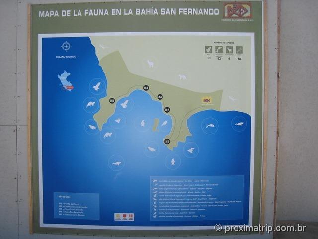Mapa de Punta San Fernando - Perú