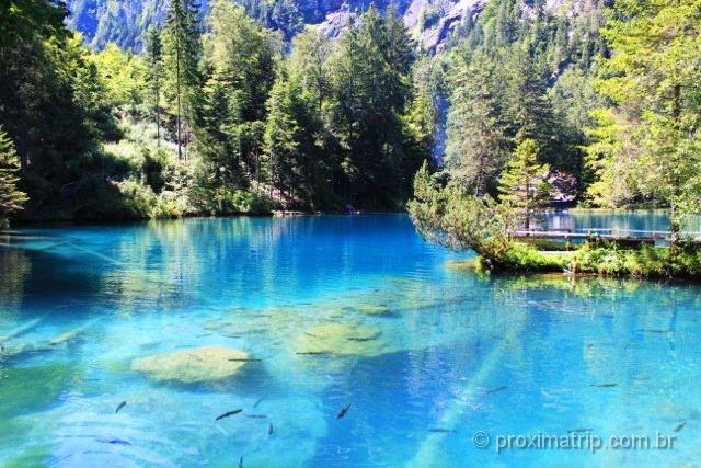 Água azul turquesa do lindo lago Blausee - Suíça