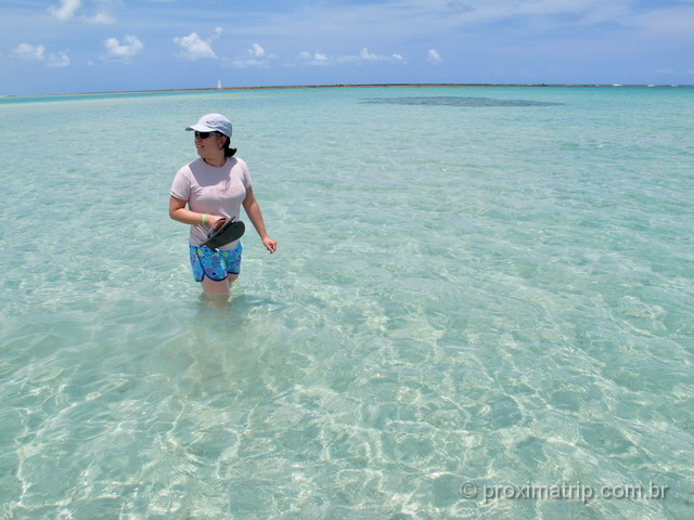 Águas Cristalinas na Praia de Ponta de Mangue, em Maragogi 