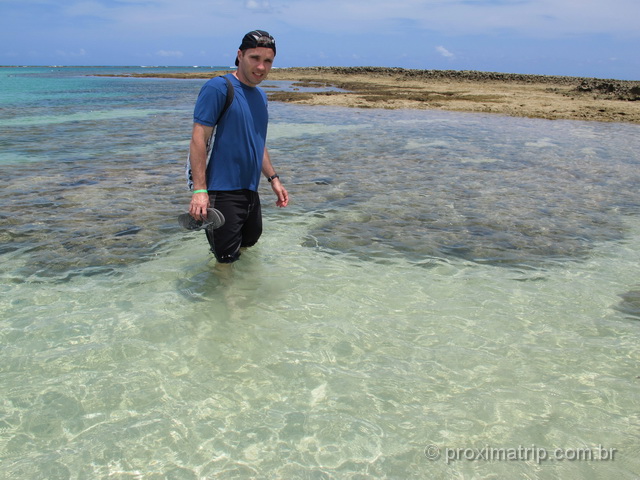 Piscinas Naturais na Praia de Ponta de Mangue, em Maragogi 