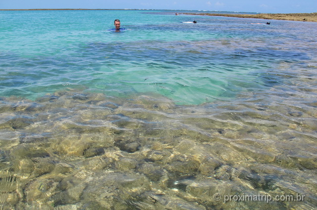 Piscinas Naturais na Praia de Ponta de Mangue, em Maragogi