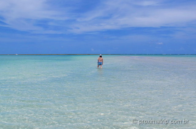 A linda praia de Ponta de Mangue na maré baixa, em Maragogi