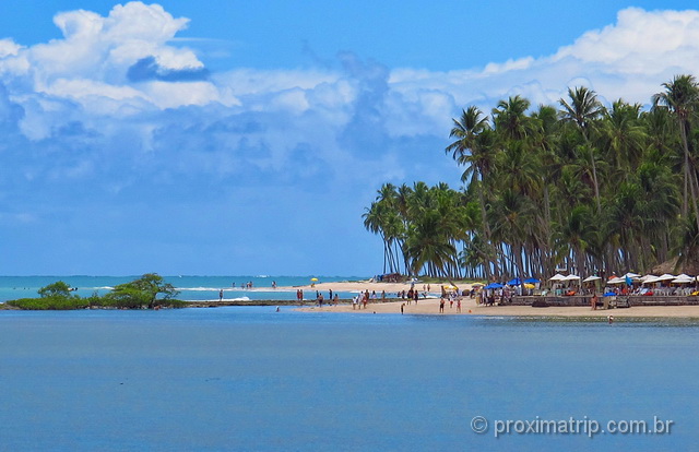 Coqueirais e a belíssima praia dos Carneiros - Pernambuco 
