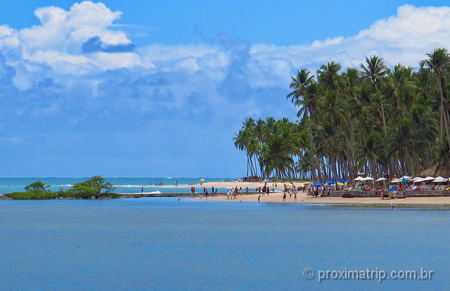 Coqueirais e a belíssima praia dos Carneiros - Pernambuco 