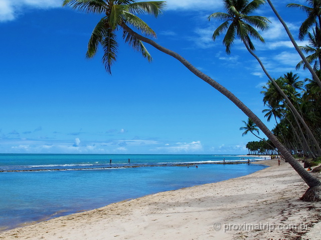 Praia dos Carneiros, eleita uma das praias mais bonitas do Brasil 