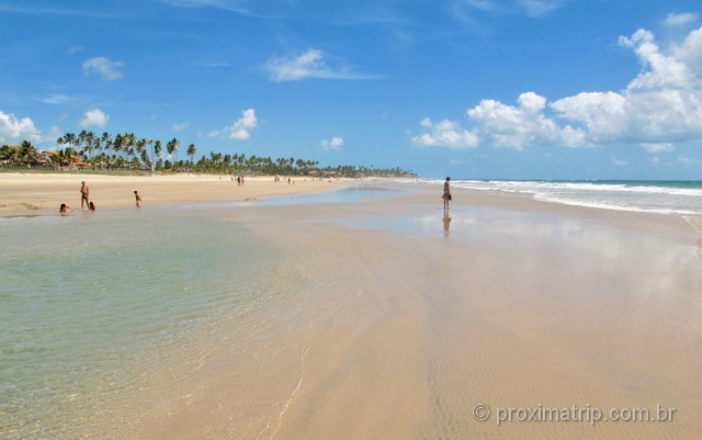 Bancos de areia durante a maré baixa na Praia do Cupê, em Porto de Galinhas