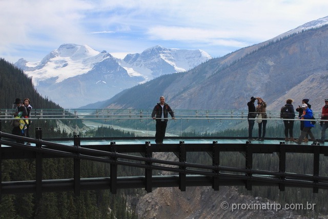 o que fazer em Jasper: Glacier SkyWalk