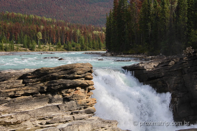 o que fazer em Jasper: Athabasca Falls