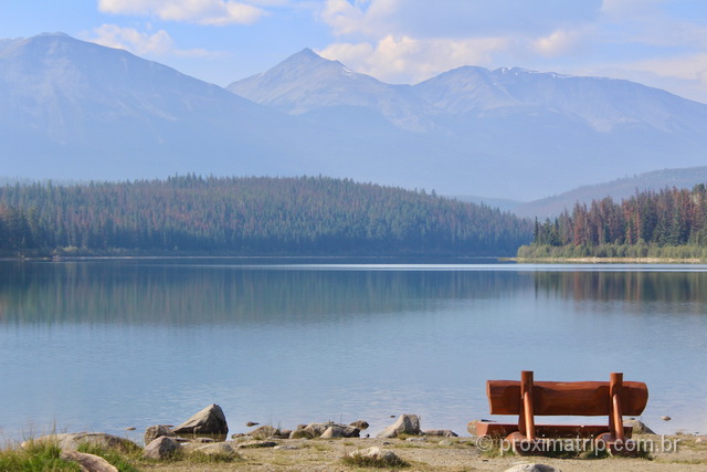 Patricia Lake