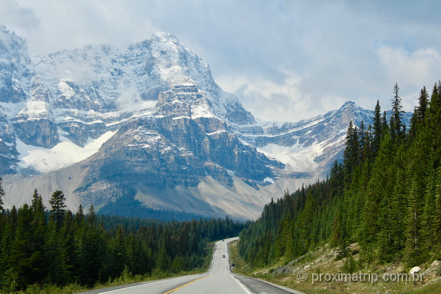 o que fazer em jasper: Icefields Parkway