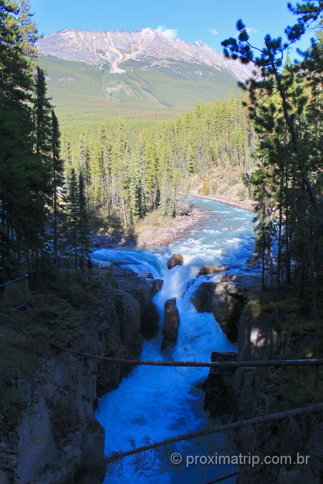 Sunwapta Falls