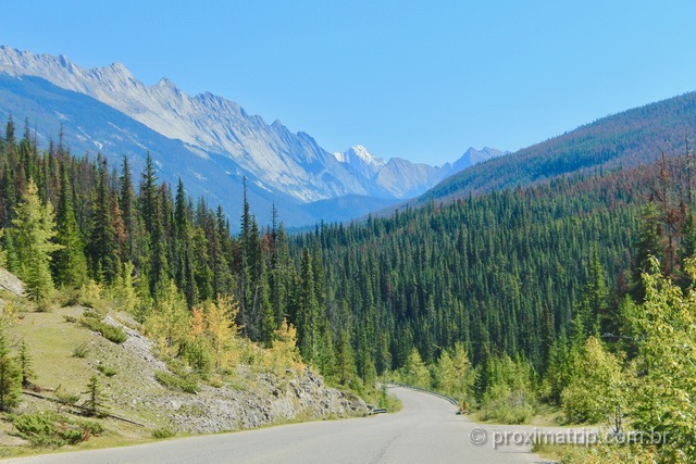 Maligne Road