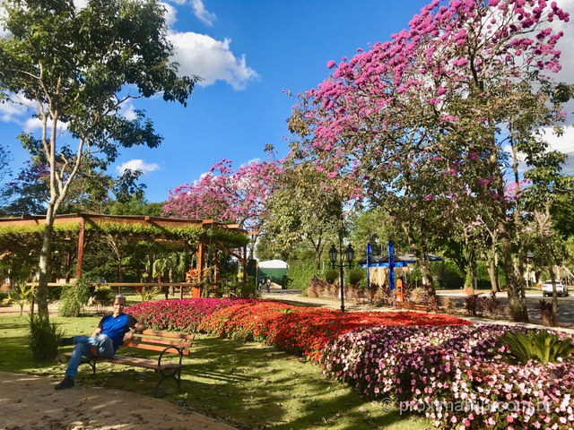 Admirar as lindas, diferentes e coloridas flores: o que você mais vai fazer em Holambra!