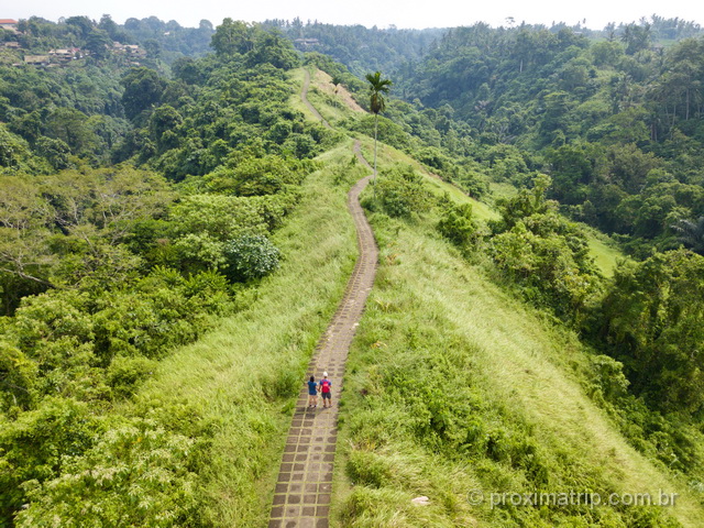 Trilha em Ubud: Campuhan Ridge Walk em foto com o drone!