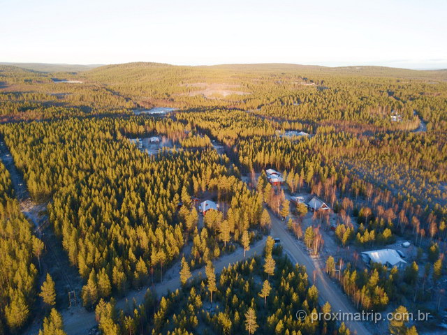 florestas da Lapônia, vistas com drone