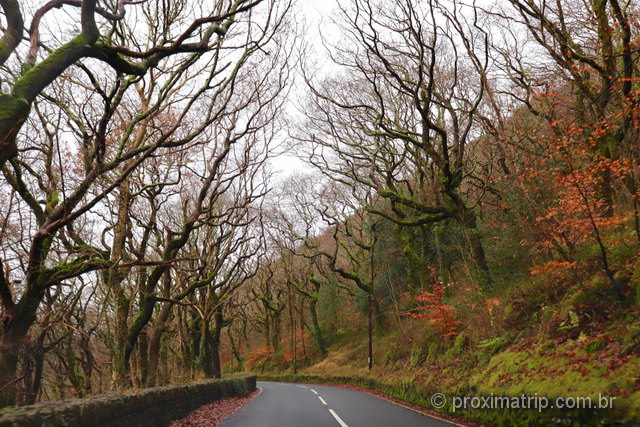 Paisagem do fim de outono no Snowdonia National Park