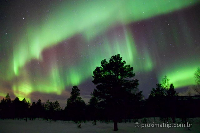 Aurora Boreal em Tromso: nosso sonho virou realidade!