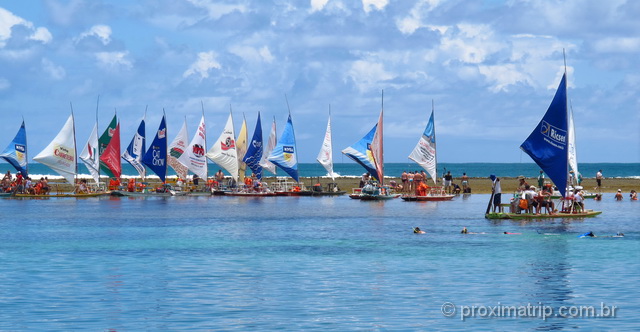 Passeio de jangada e snorkeling nas piscinas naturais - Porto de Galinhas