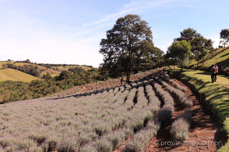 Belas paisagens no Contemplário, em Cunha