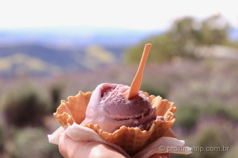 Experimentando o sorvete de lavanda em Cunha