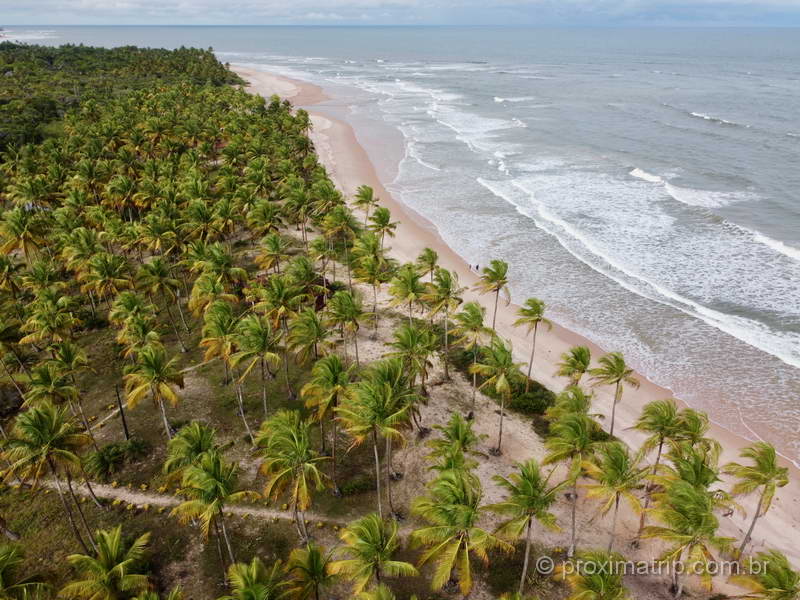 O que fazer na Península de Maraú? Curtir a natureza, com certeza!